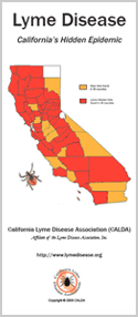 CALDA Lyme Disease Brochure