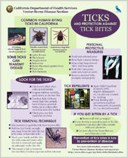 DPH Lyme Disease Poster