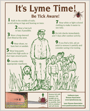 Tick Guy