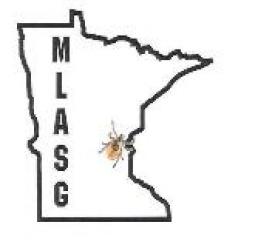 minnesota_map_822386974.jpg