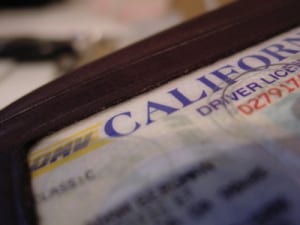 calif drivers license