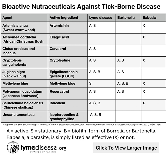Bioactive Nutraceuticals