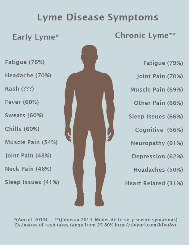 Chronic Lyme Disease | LymeDisease.org