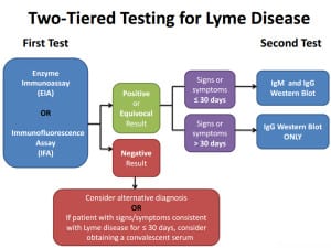 lyme disease cdc testing test labcorp stories lymedisease two tiered don