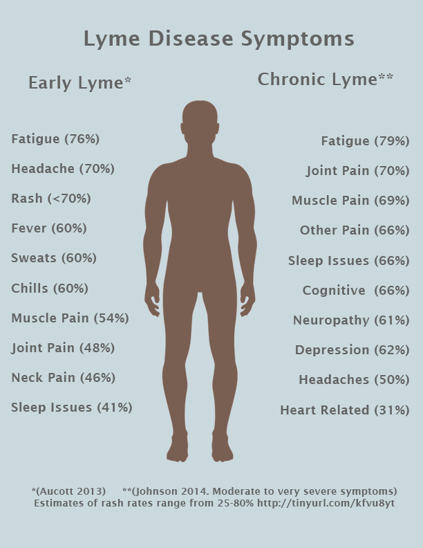 Symptoms of Lyme Disease | LymeDisease.org
