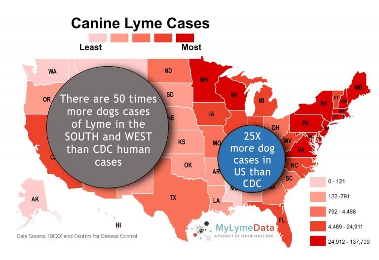 Canine Maps Predict Lyme Disease Risk Better Than CDC Does.