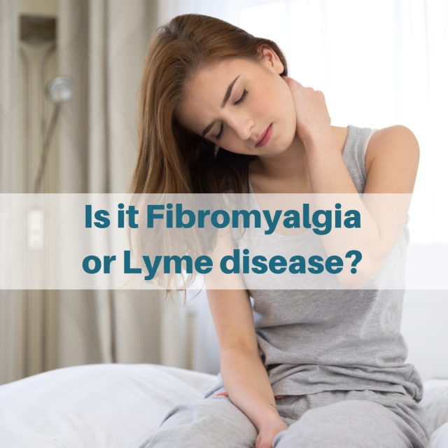 LYME SCI: Is it fibromyalgia--or Lyme disease?