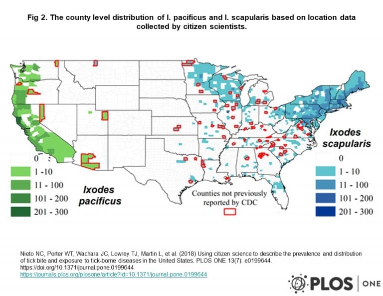 LYMESCI: Increase of infected ticks means higher risk of tick bites