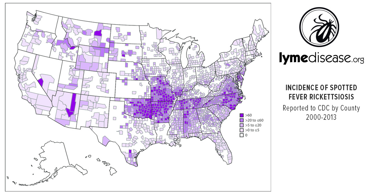 Rickettsia which includes Rocky Mountain Spotted Fever