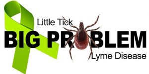 NE Ohio Lyme Foundation