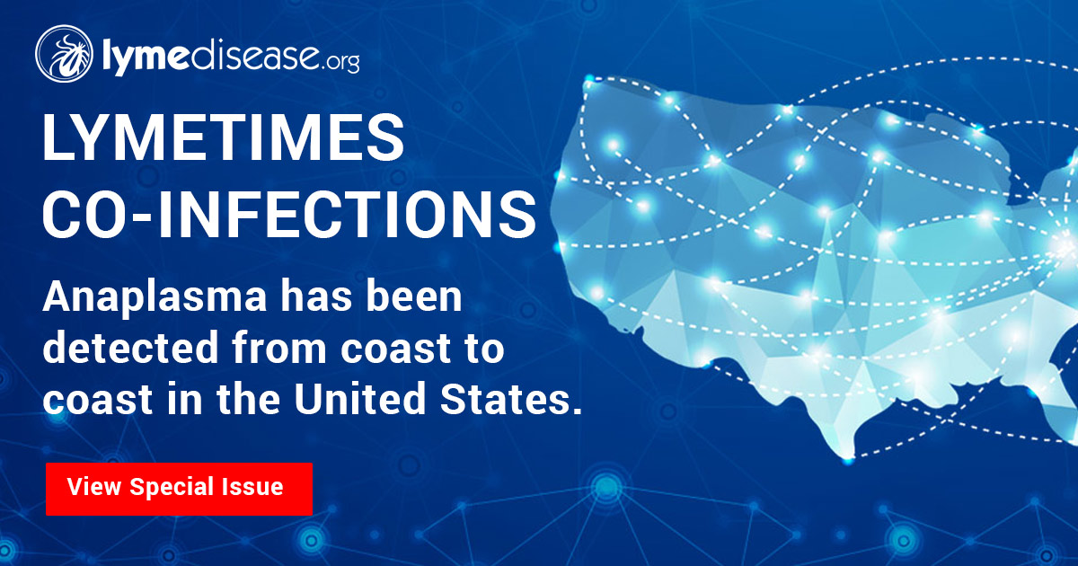 Lyme disease coinfection Anaplasma has been detected from coast to coast in the United States.