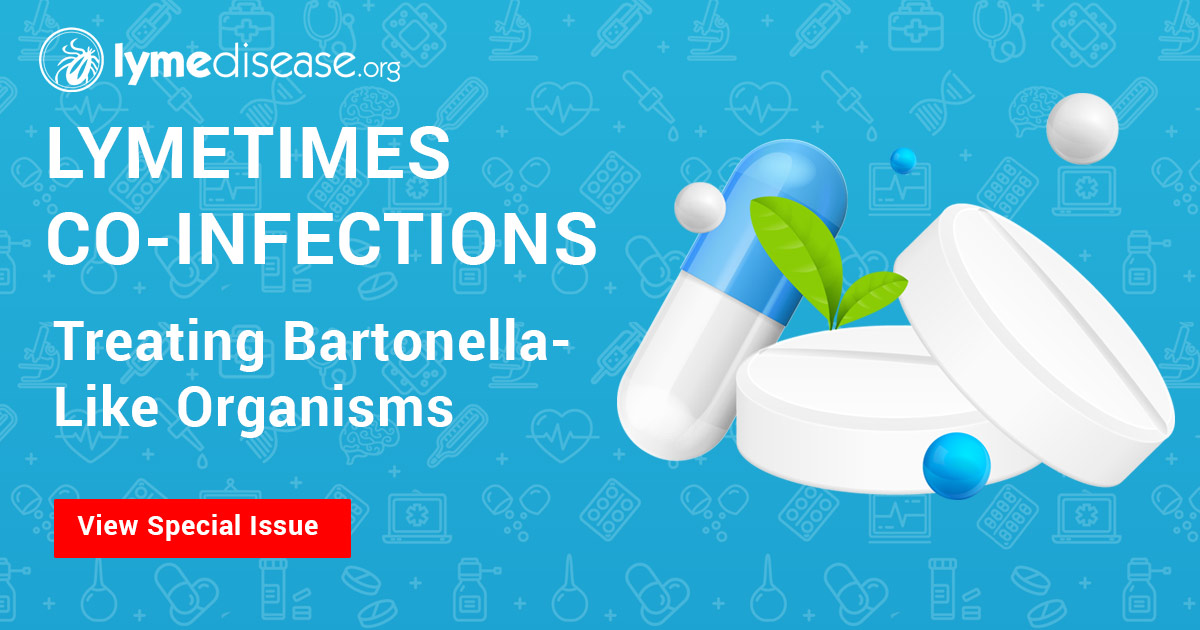 Treating Bartonella Organisms