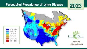 CAPC warns that Lyme disease risk is higher than ever